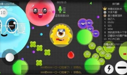 球球大作战直播爸爸91